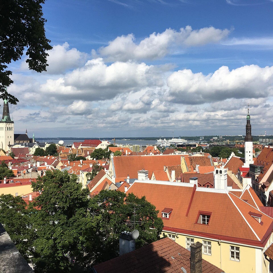Group tours Estonia